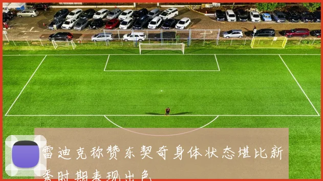 雷迪克称赞东契奇身体状态堪比新秀时期表现出色